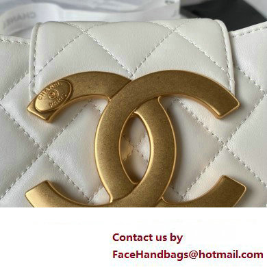 Chanel Lambskin  &  Gold-Tone Metal Small Messenger Bag AS4609 white 2024